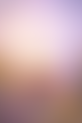 12:Resilience, Reframing, and Planting What Matters