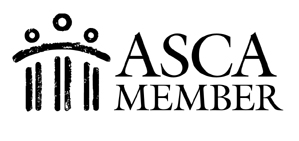 American School Counselor Association