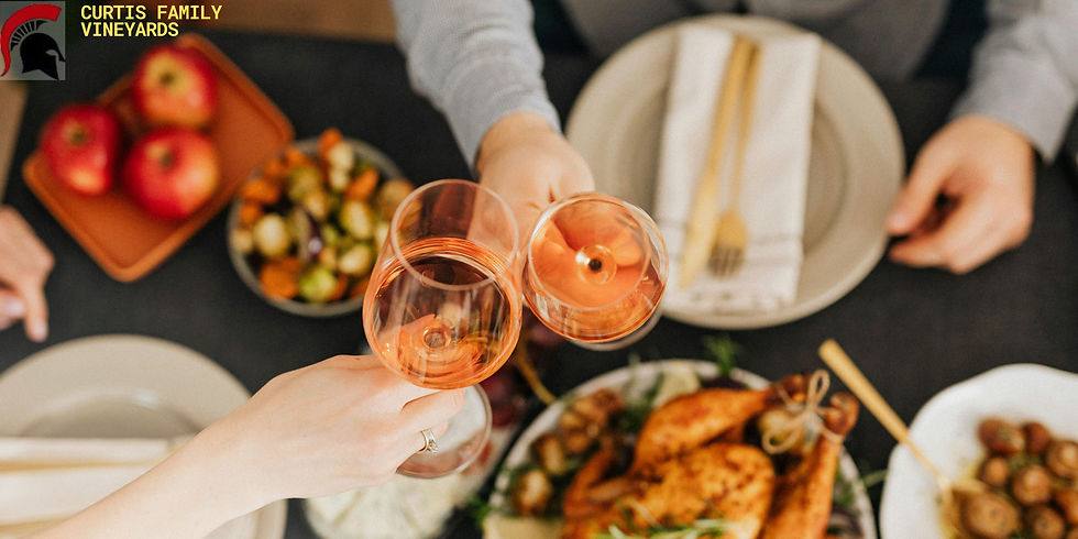 Food Parings for Shiraz red wine