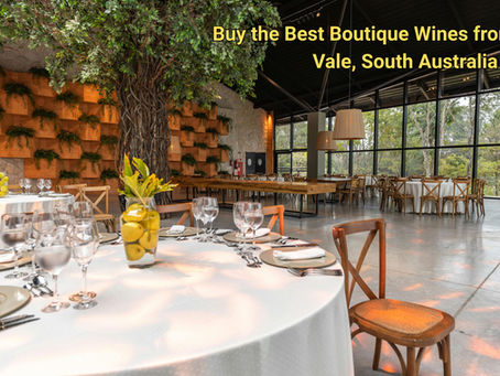 Best Boutique Wines from McLaren Vale