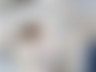 Trichloromethane in Dairy Products - Validation Update 