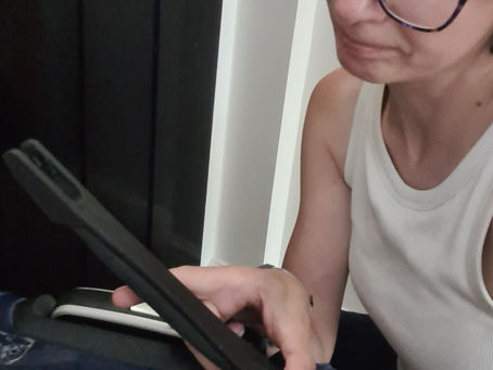 White elephant or the suitcase without a handle