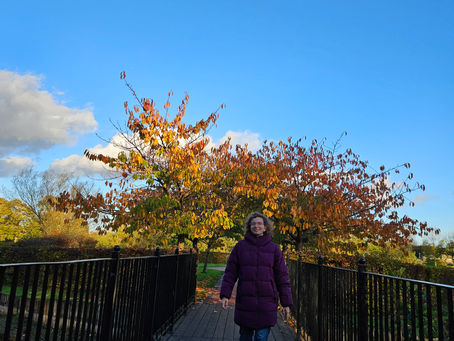 Patterns and root-causes