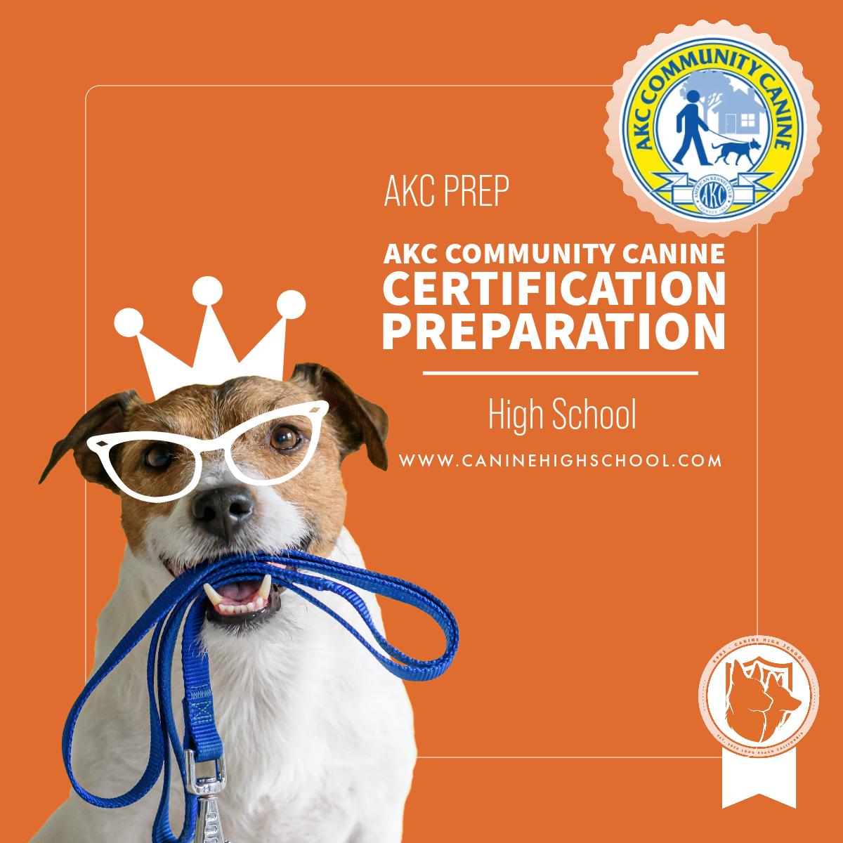 Book your dog for AKC Community Canine Certification Preparation Classes 