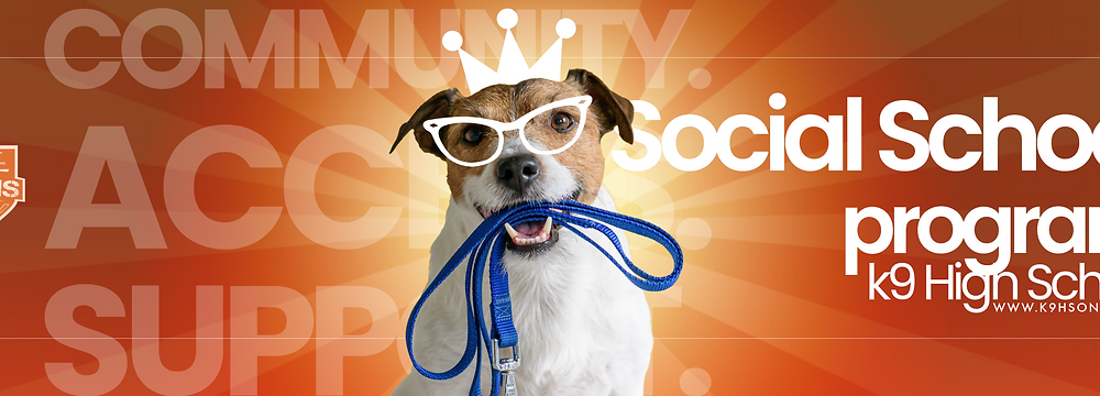 Welcome to Canine High School Socialization School