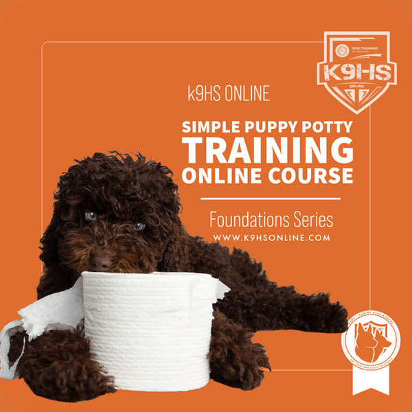 Potty Training Your Puppy Online Course