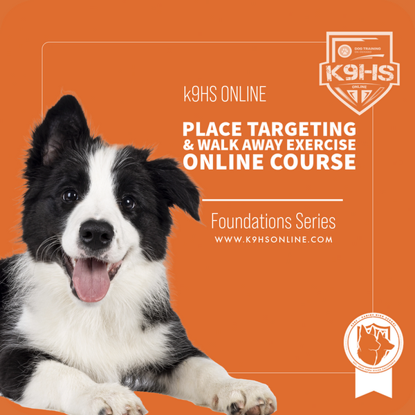 Puppy Proofing Your Home Online Course