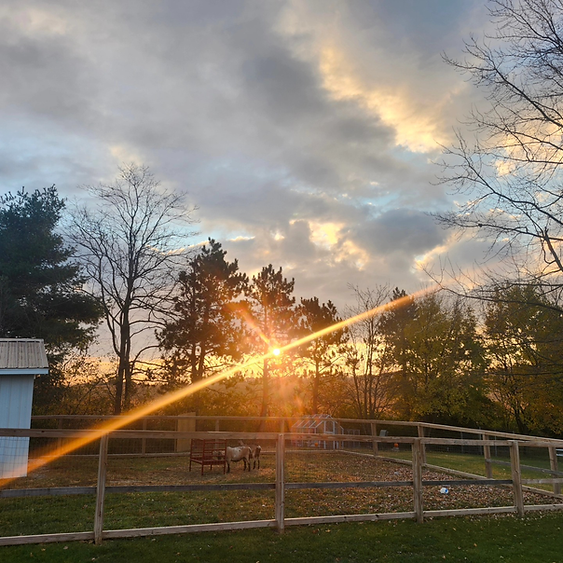 farm pic