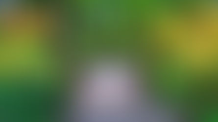 Change is the New Normal