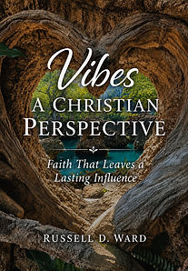 VIbes Book Cover Right Side JPG.jpg