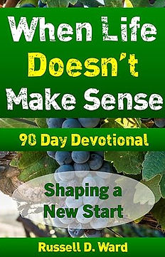 Wilderness Devo Book Cover for Spiritual Powers Website.jpg