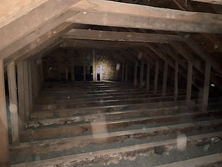 attic looking south overall_7-2-22.jpg
