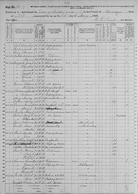 Bagley, Mary Jane - 1870 census.jpg