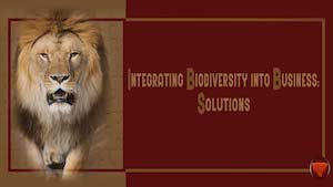 The Just Value of Biodiversity