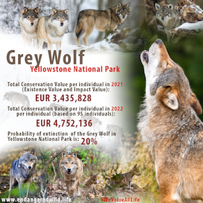 Endangered Wildlife OU February 2026 Newsletter