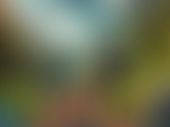 Gut vorbereitet: Rucksack packen für eine Tageswanderung mit Hund