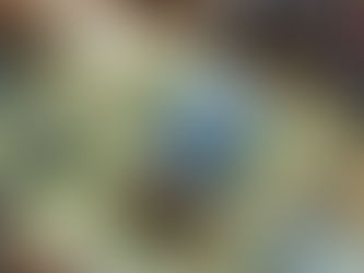 Wandernavigations-Apps: Dein digitaler Begleiter in der Natur