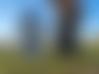 Wennings Mühle – Leerbach-Quelle Runde