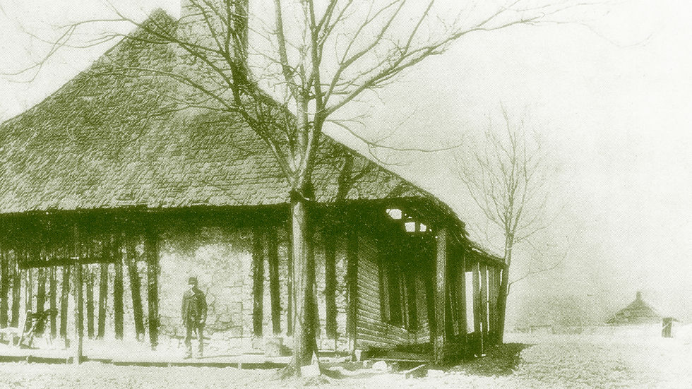home background3.jpg