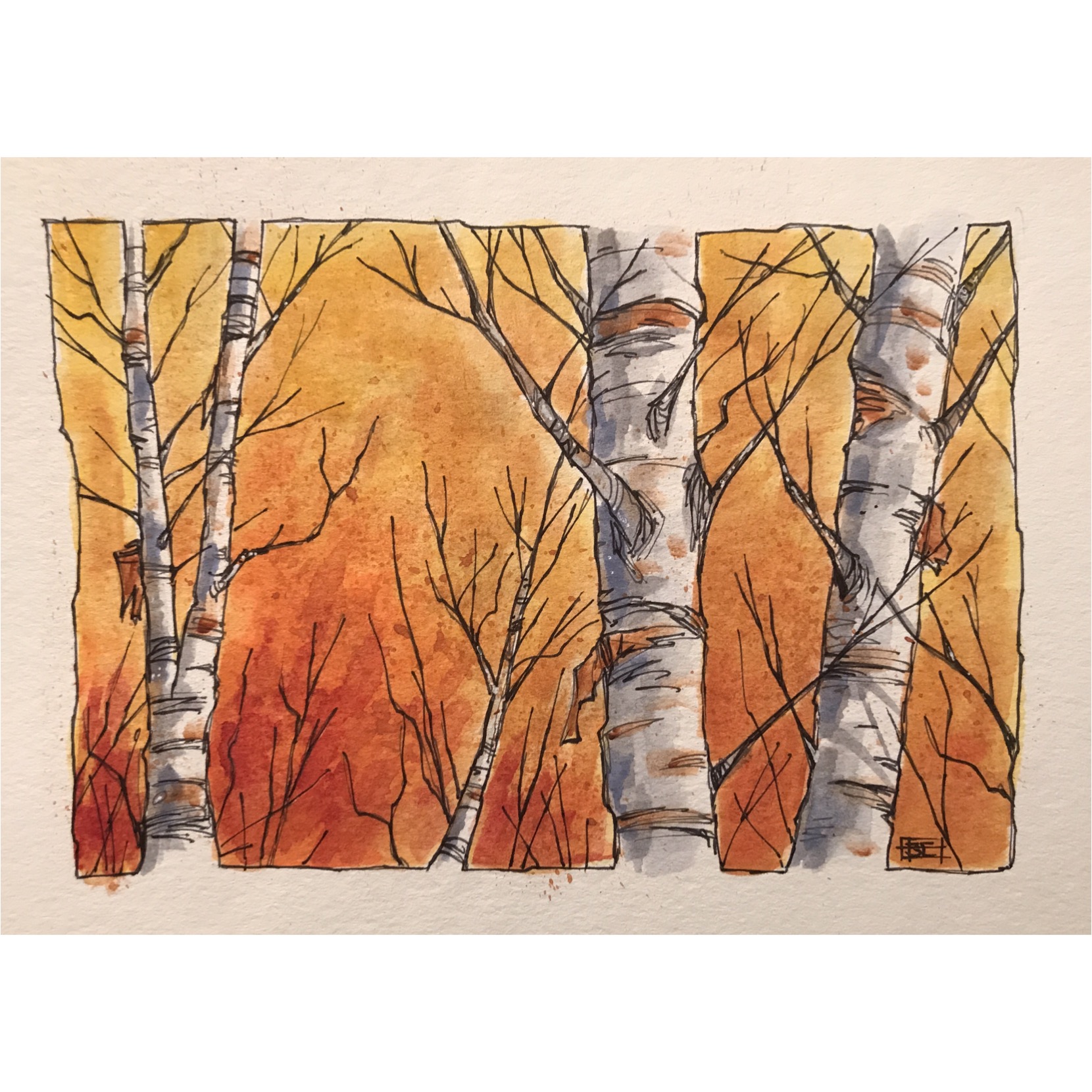 Autumn Birch
