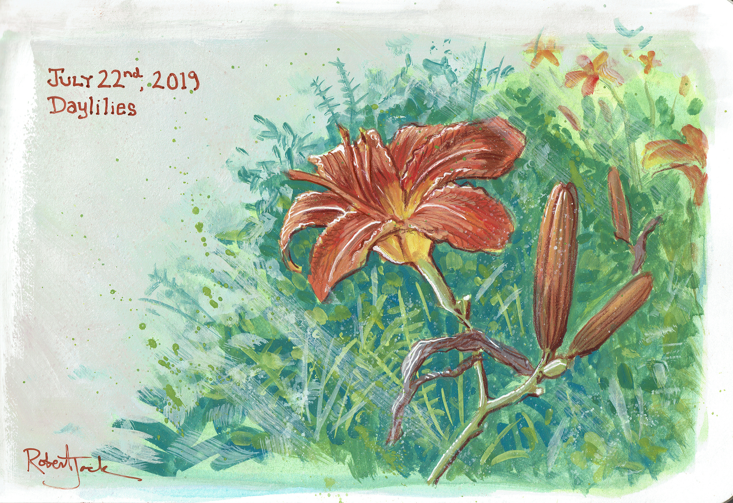 Daylilies