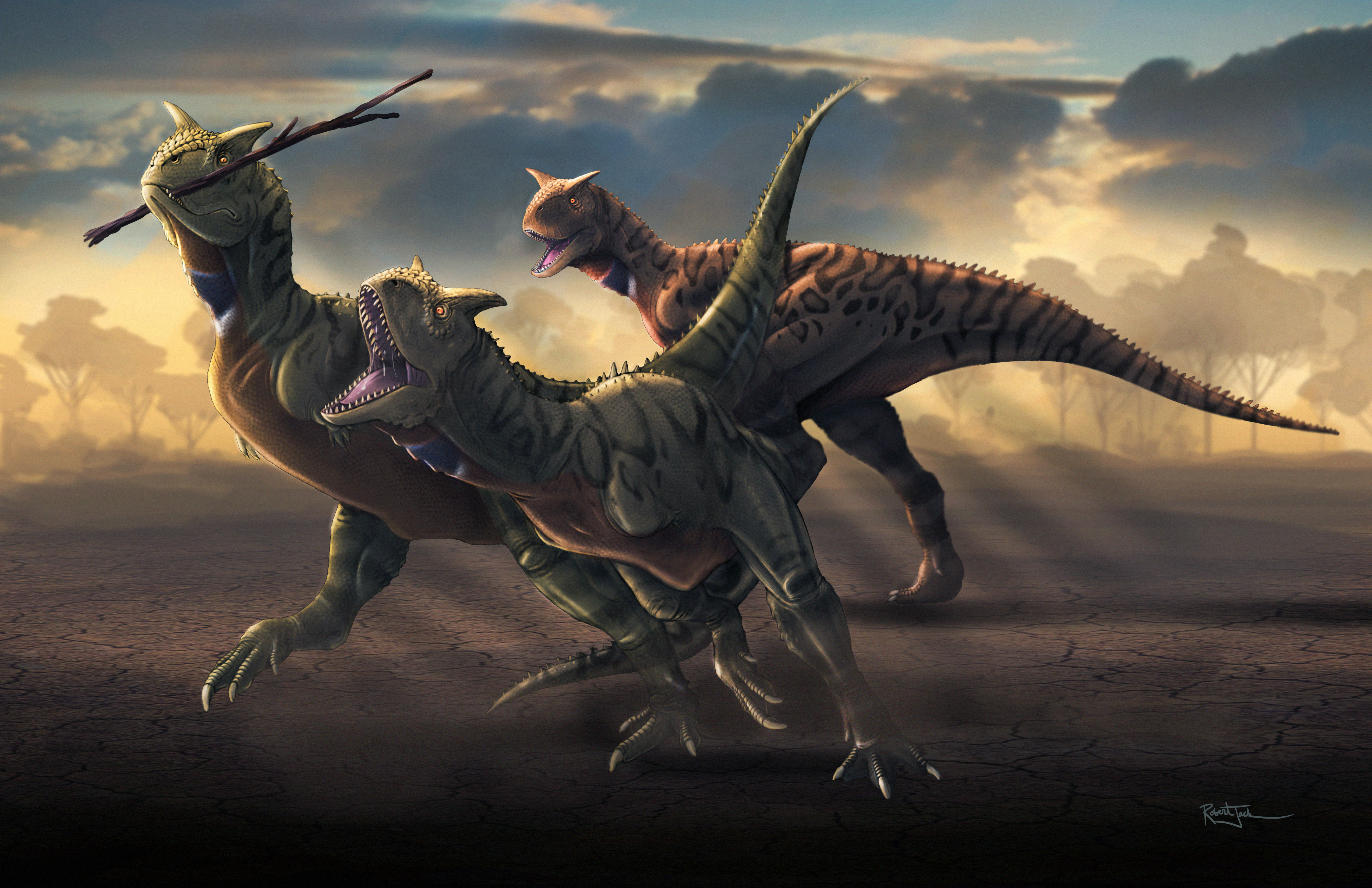Carnotaurus Keepaway
