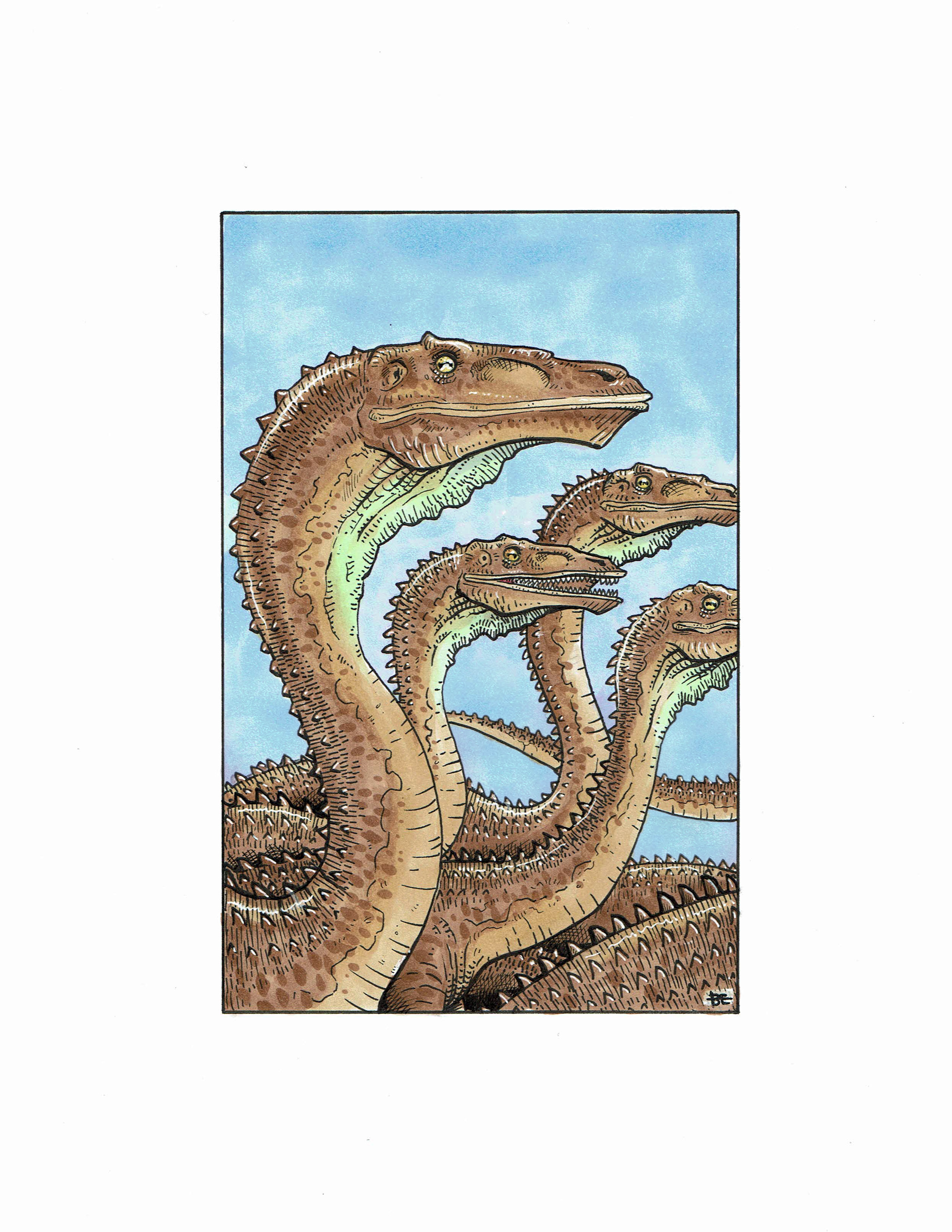 Coelophysis