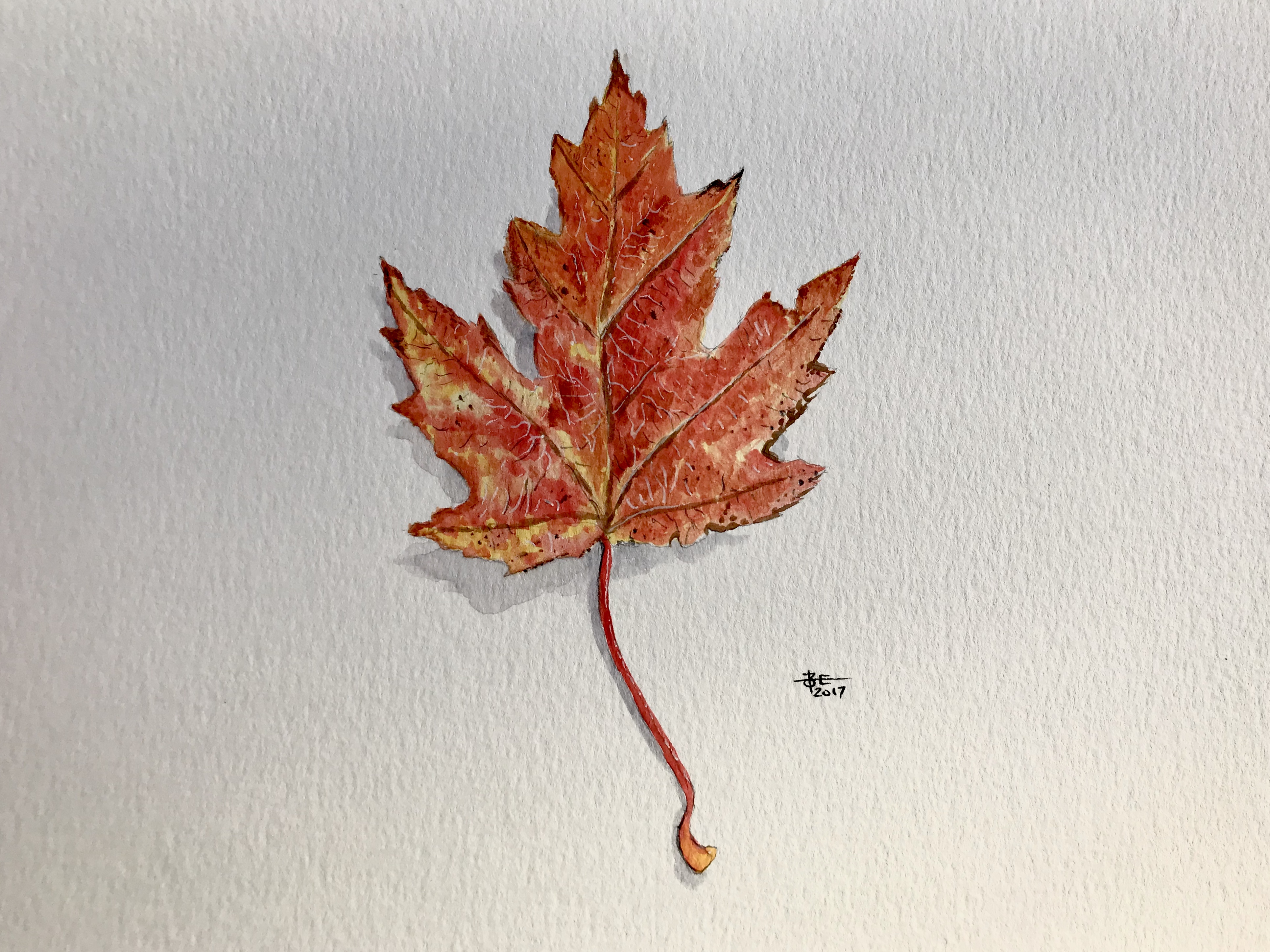 All the Leaves are Brown
