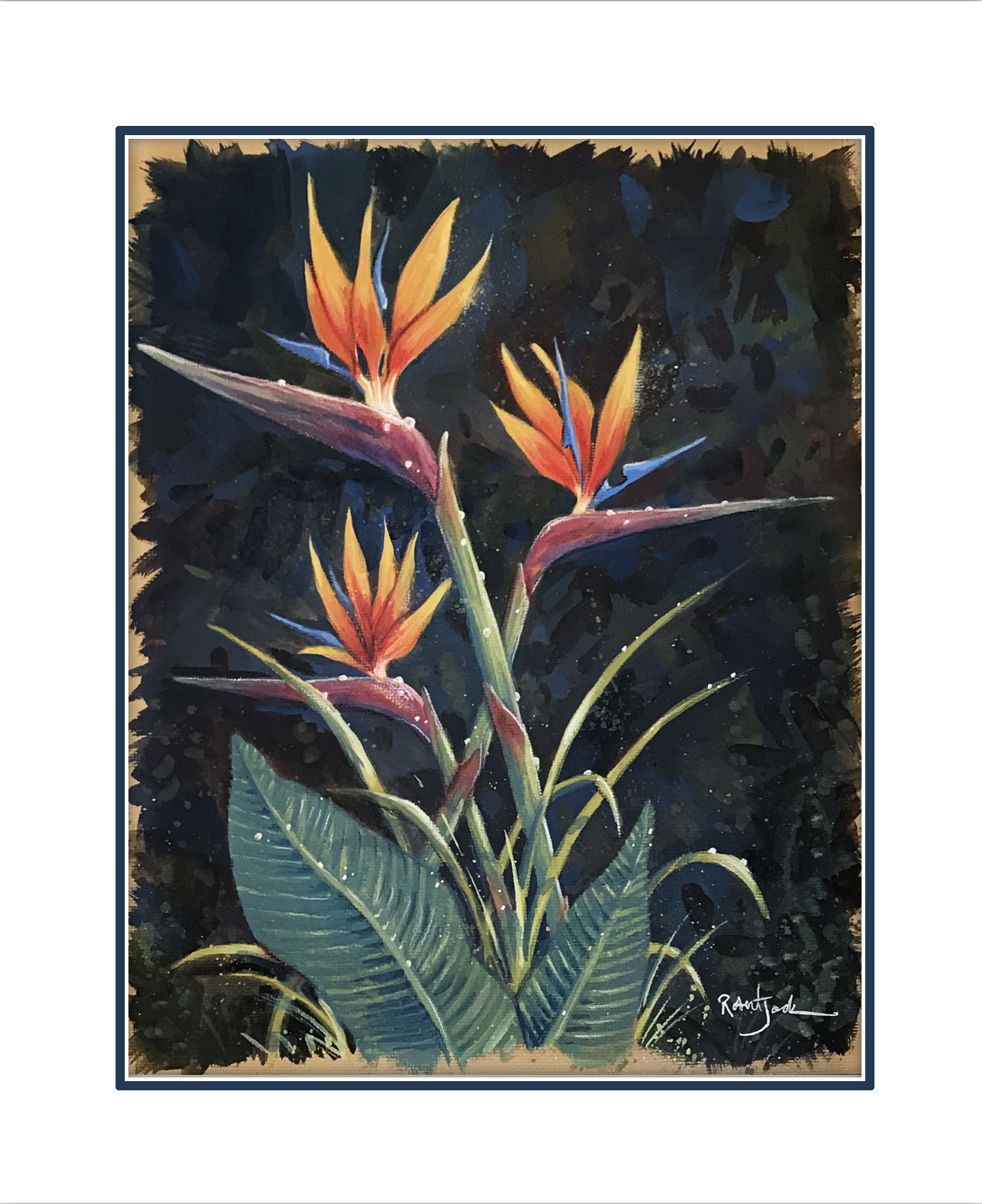 Bird of Paradise
