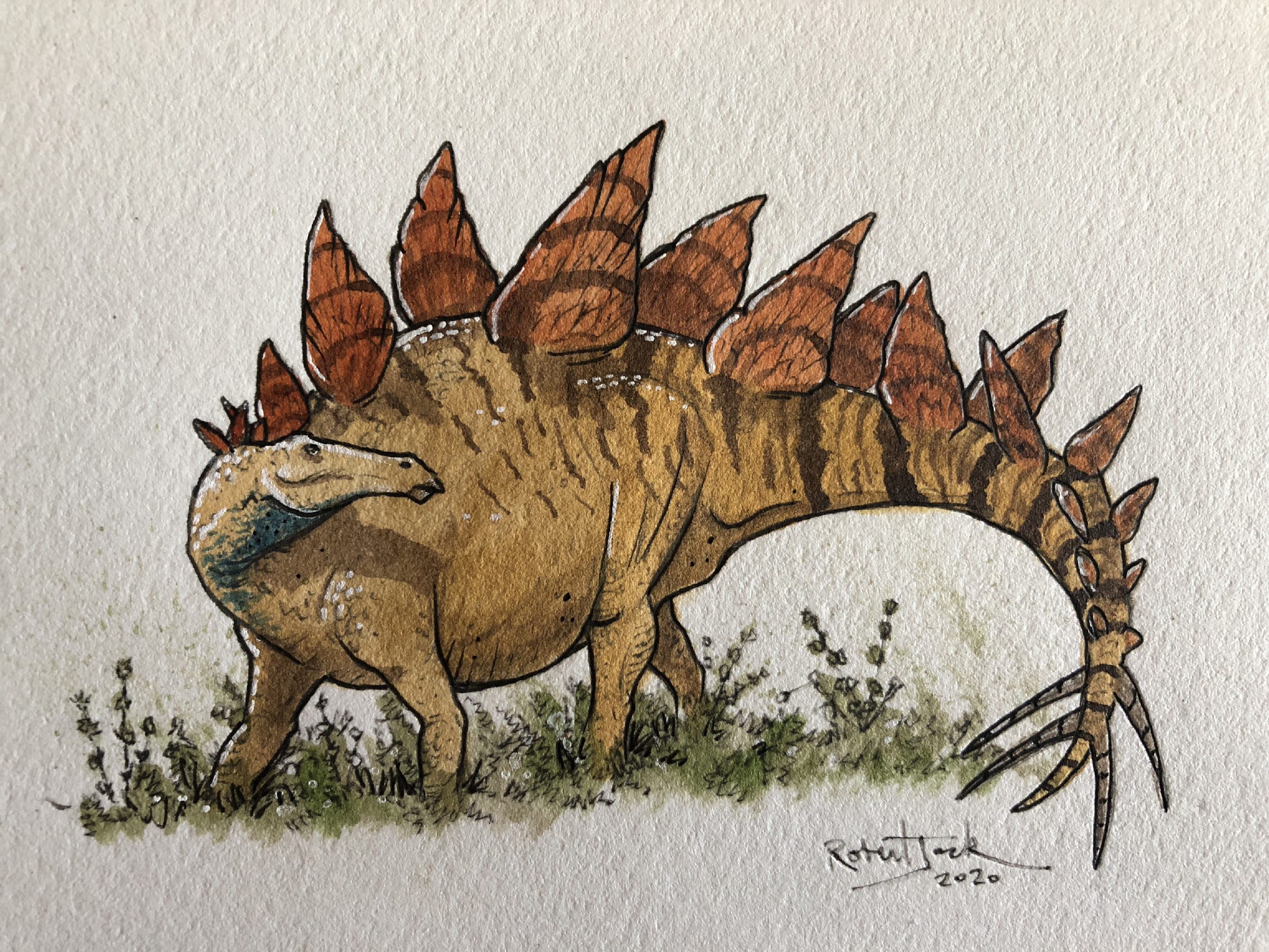 Stegosaurus