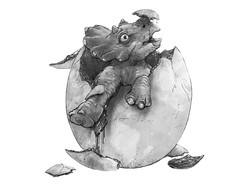 Hatchling Trike - JP-style