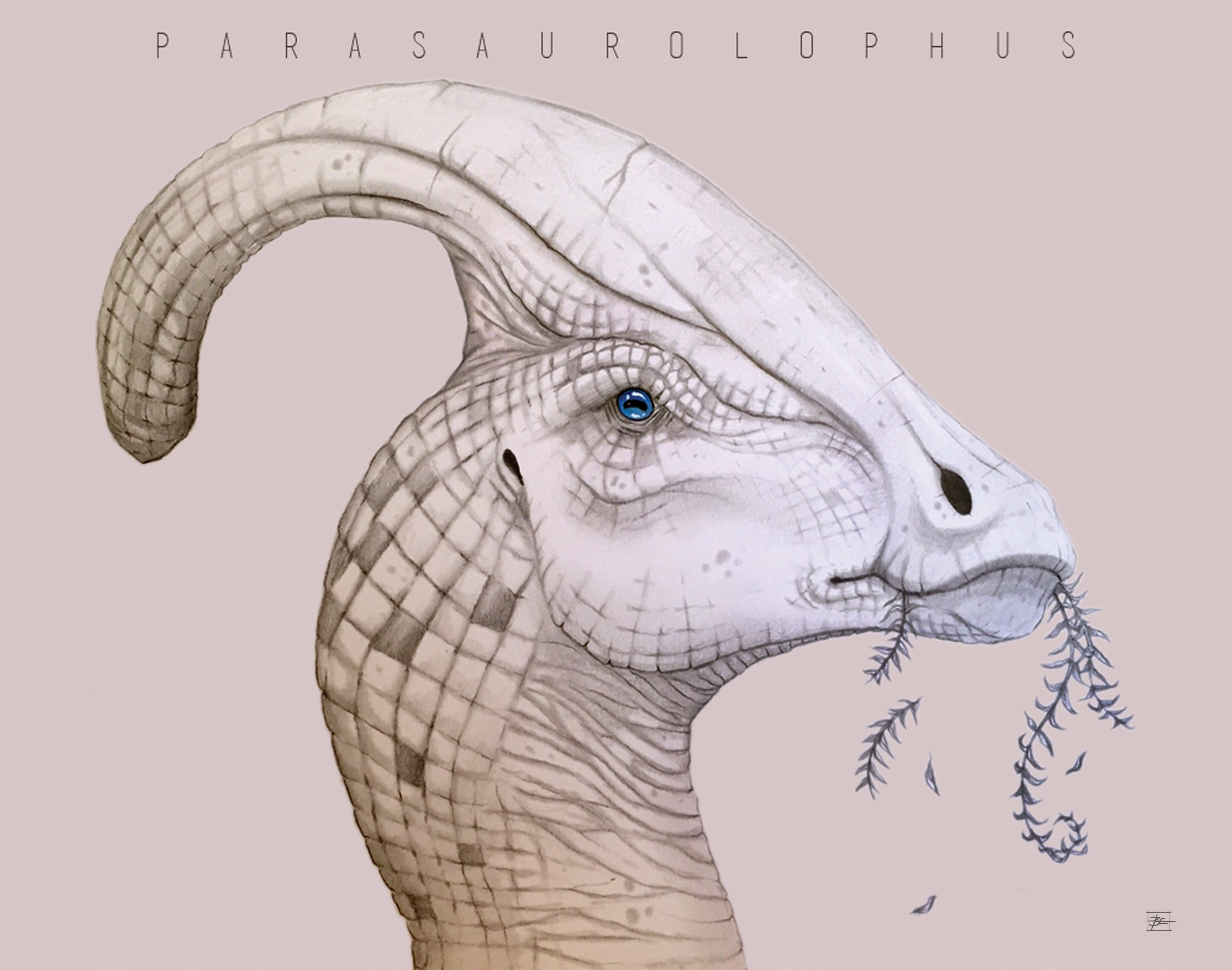Parasaurolophus