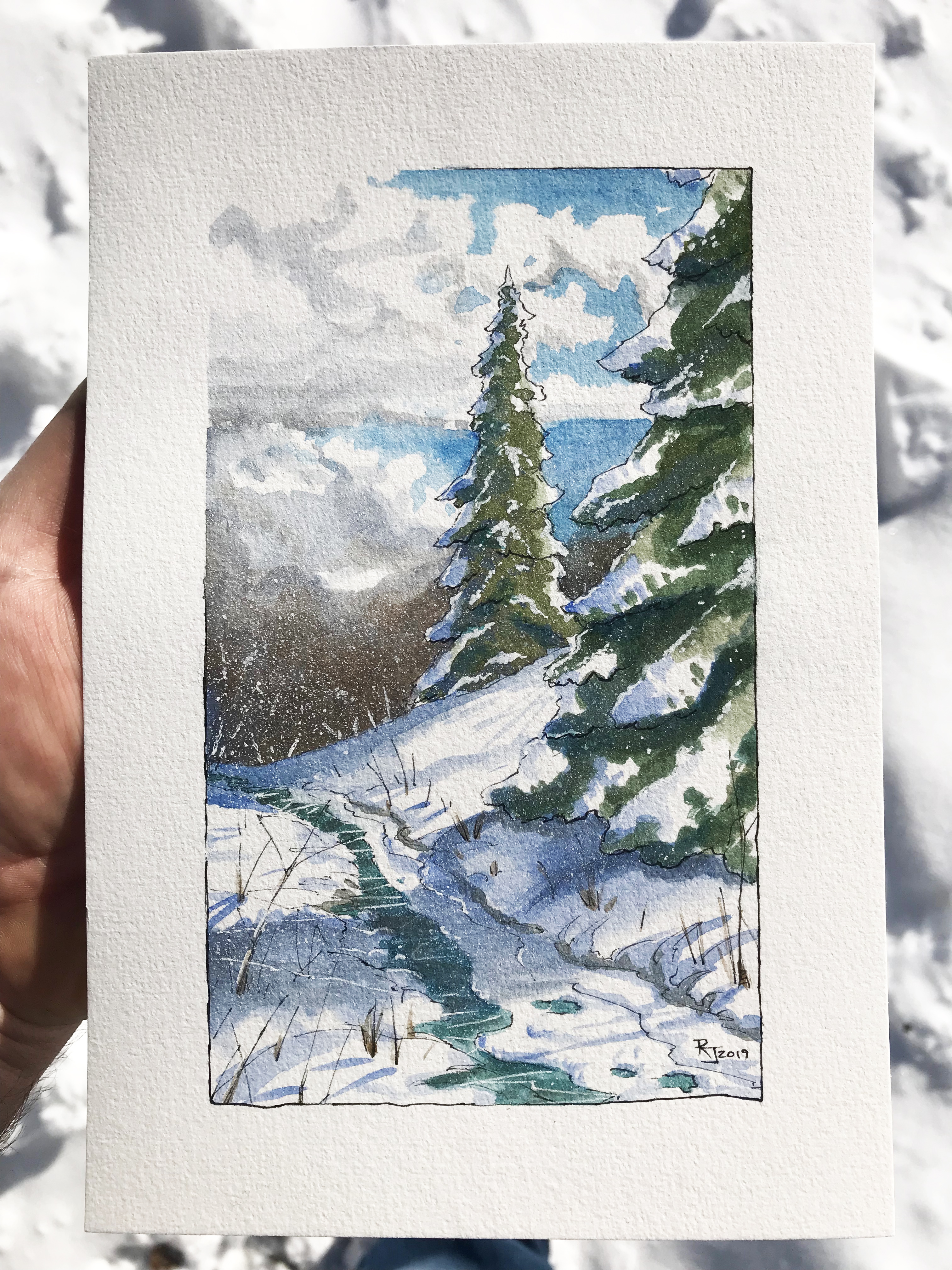Winter Pines #2