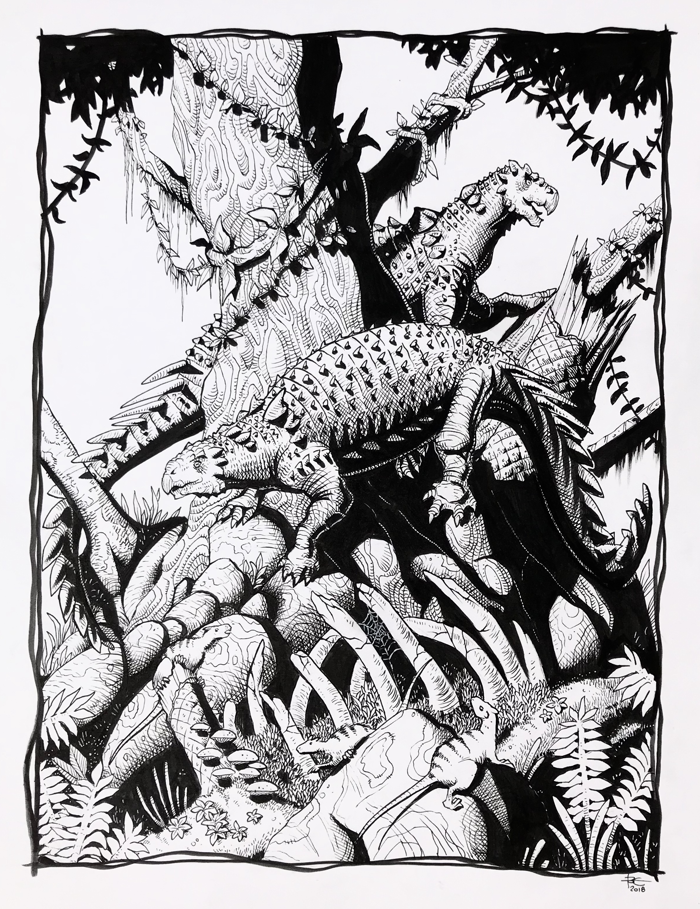 Kunbarrasaurus