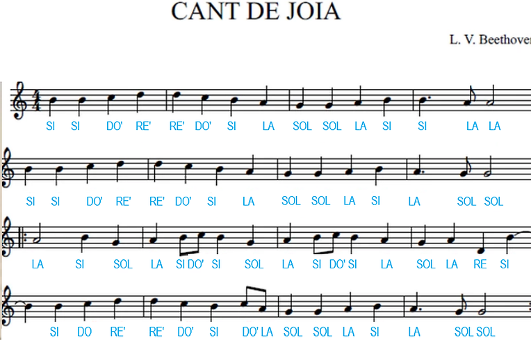 CANT DE JOIA NOTES.png