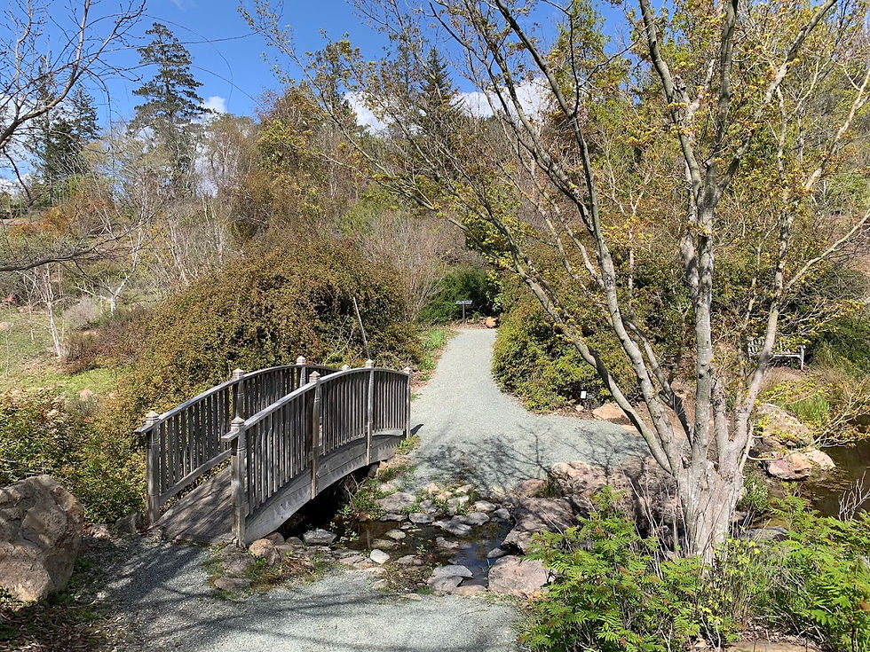 SHORT: Sonoma Botanical Garden