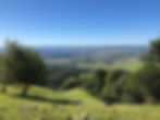 LONG: Taylor Mountain and New East Trails