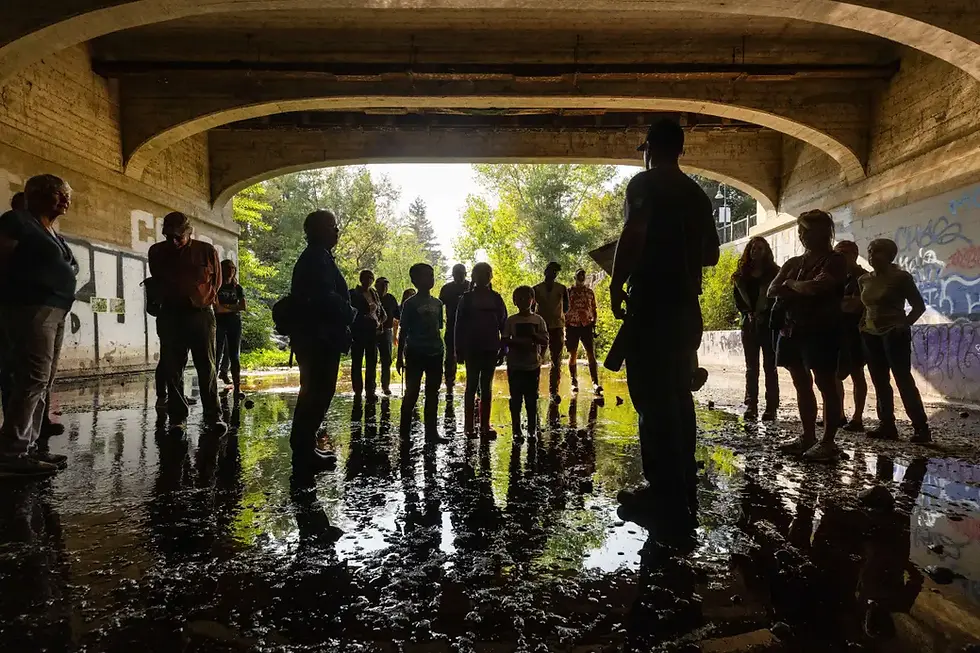 INTERMEDIATE: Santa Rosa Creek and Tunnel