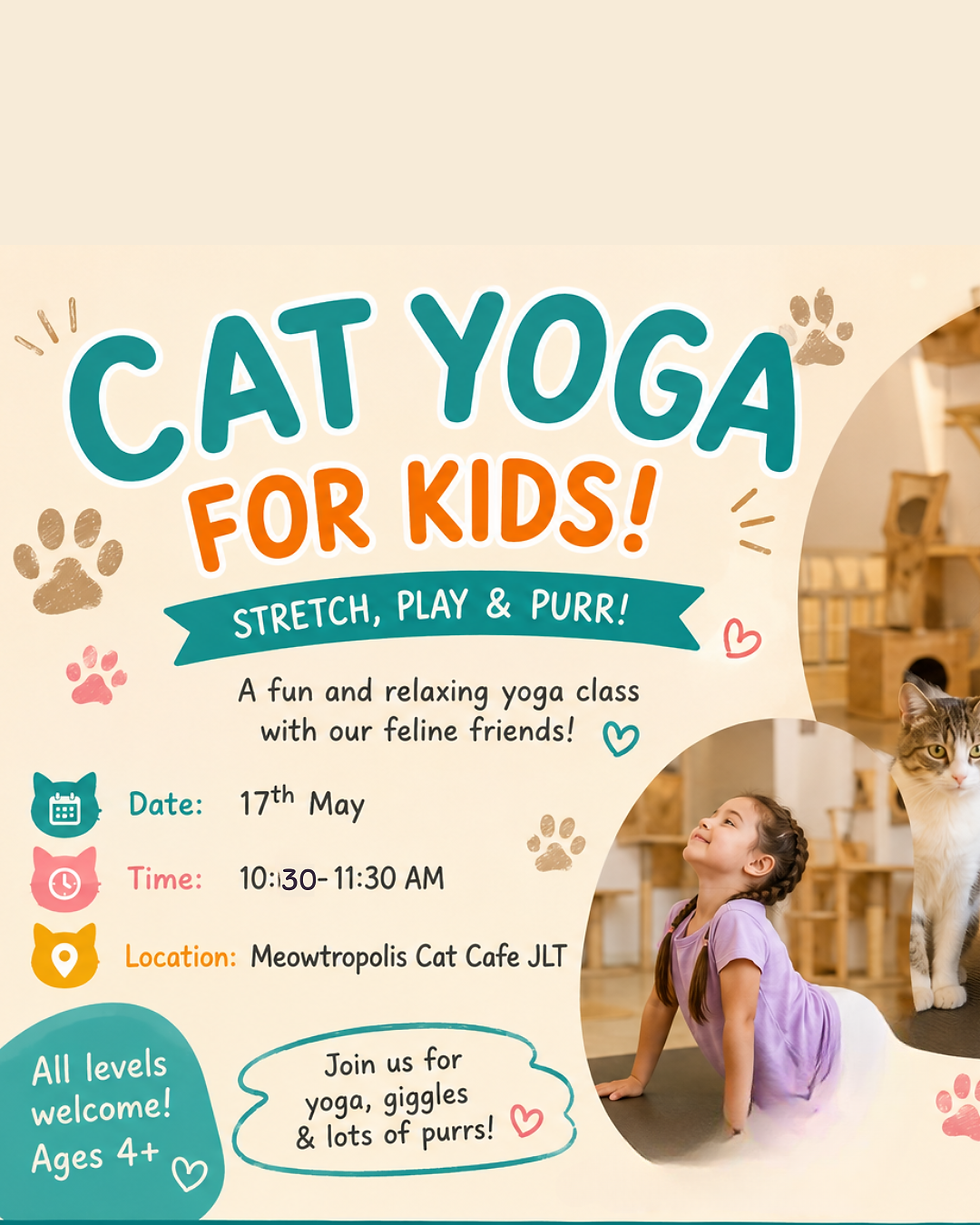 Yoga With Cats
