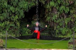 TYP107_082915_GF0060