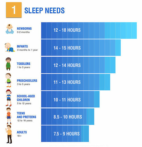 How Important is Sleep?