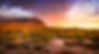 shutterstock_1432112846.jpg