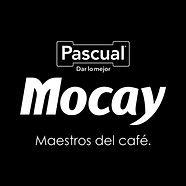 MOCAY LOGO