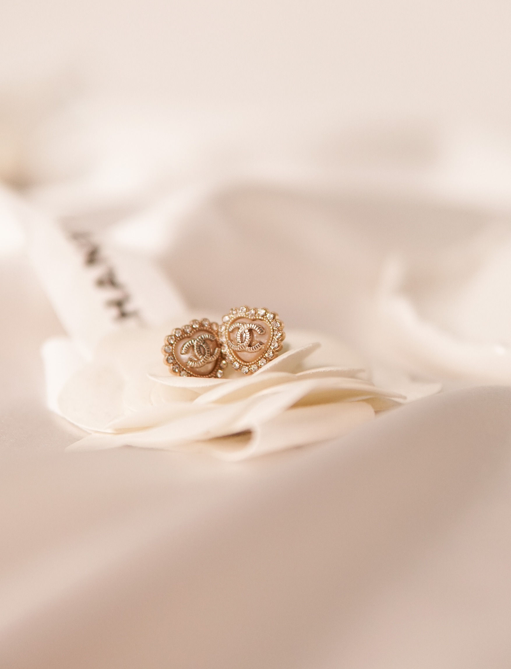 𝗖𝗵𝗮𝗻𝗲𝗹 𝗟𝗶𝘁𝘁𝗹𝗲 𝗽𝗿𝗶𝗻𝗰𝗲𝘀𝘀 𝗘𝗮𝗿𝗿𝗶𝗻𝗴𝘀