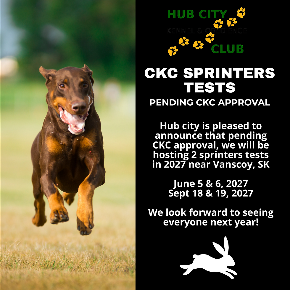 CKC Sprinters Tests June 5 & 6, 2027