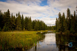 Waskesiu Sept 9 2016-65