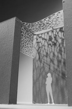 Dock Wall Intervention