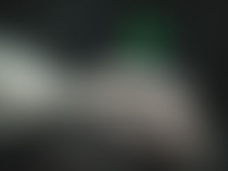 Przykłady wprowadzonych przez hodowców  odmian roślin.