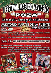 FESTIVAL POZA.jpg
