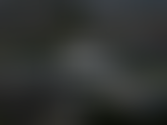 BLP Bulletin - Q2 2025 Recap